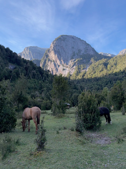 Nothing like the sound of horses to keep you up at night. Views from the campsite